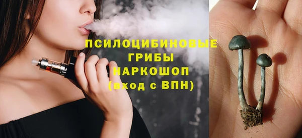 ECSTASY Снежногорск