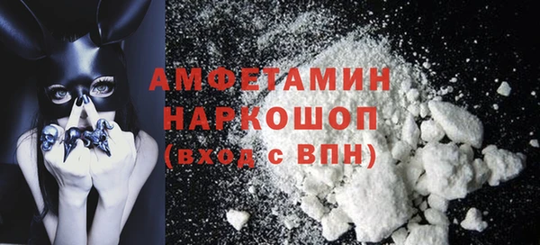 гидра Ельня