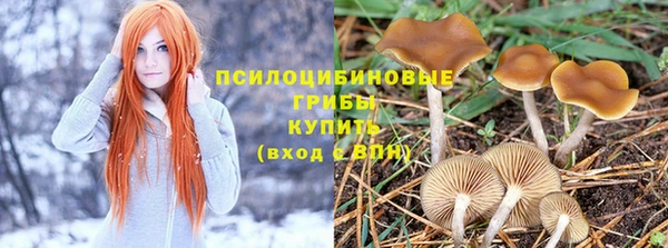 молекула духа Балабаново