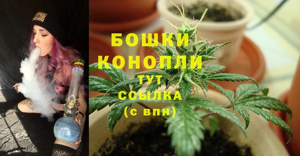 молекула духа Балабаново